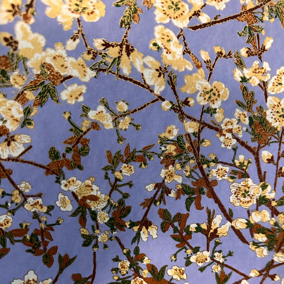 Blue Blossom Paper