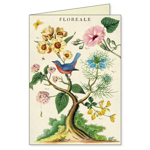 Boxed Notecards - Floreale