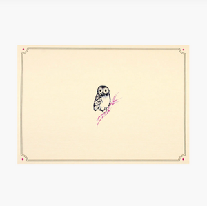 Owl Note Cards