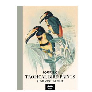Art Portfolios - Tropical Birds