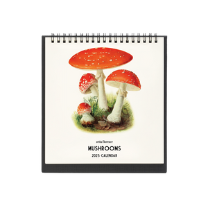 2025 Desk Calendar - Mushrooms