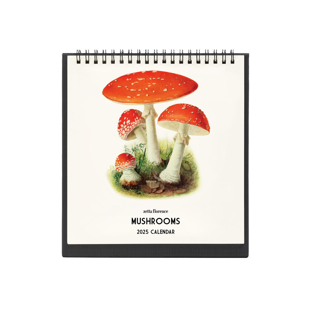 2025 Desk Calendar - Mushrooms