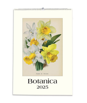 2025 Large Art Calendar - Botanica