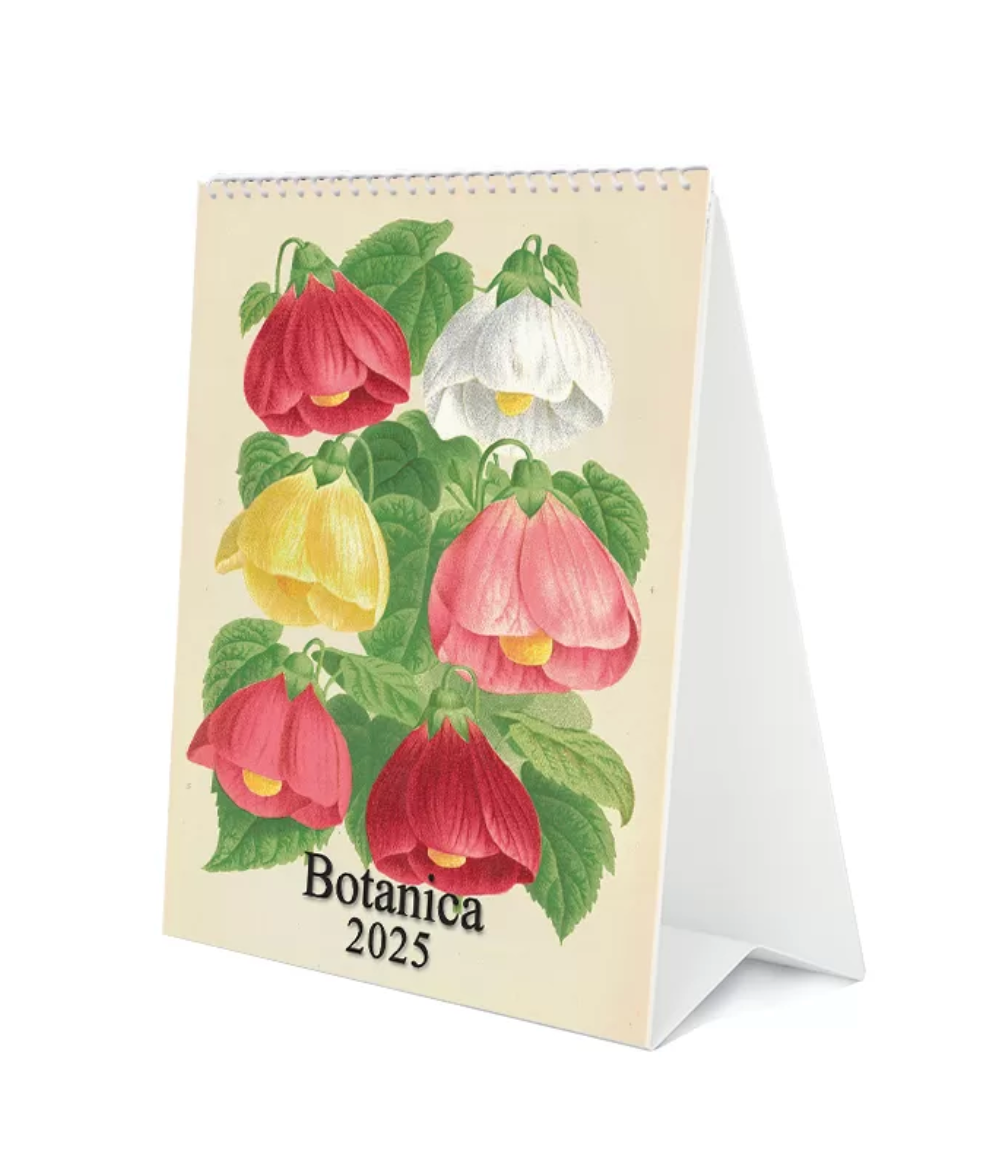 Botanica 2025 Desk Calendar