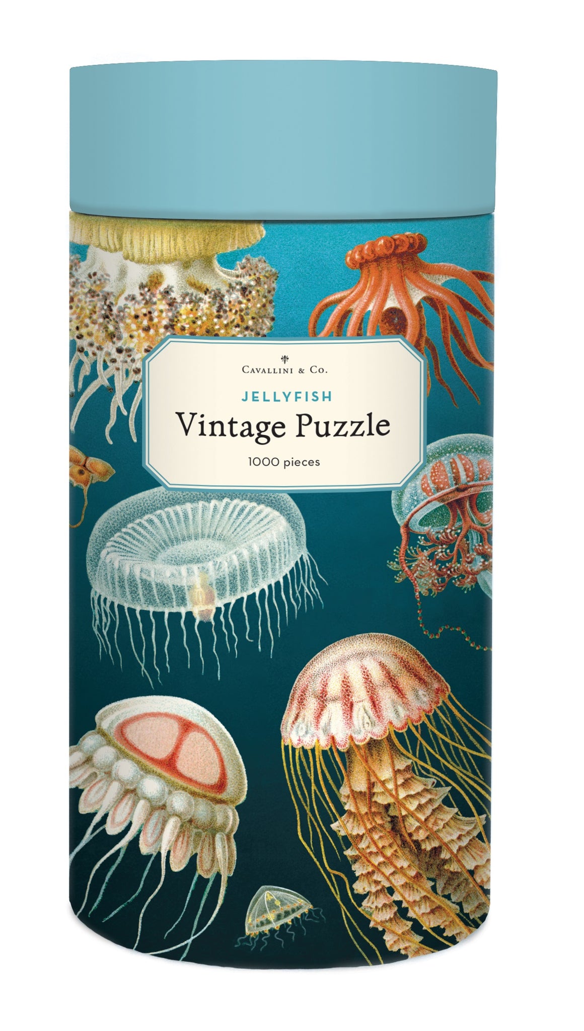 Vintage Puzzle - Jellyfish