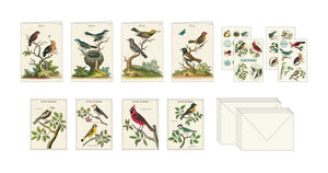 Cavallini Boxed Stationery Set - Birds