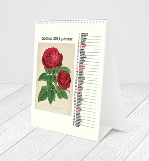 Botanica 2025 Desk Calendar