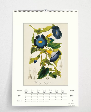 2024 Large Art Calendar - Aperitivo