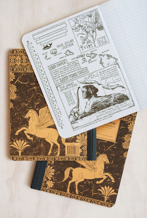 Pegasus Large Notebook