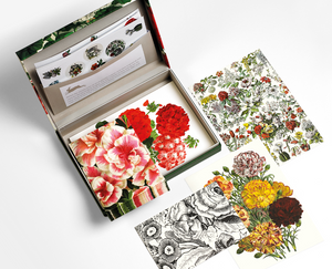 Letter Writing Set - Flower Prints