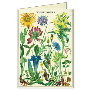 Boxed Notecards - Wildflowers