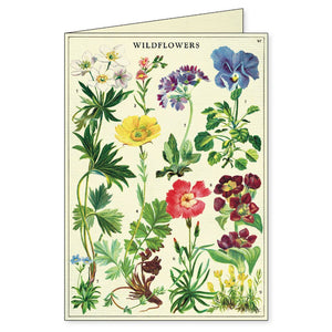 Boxed Notecards - Wildflowers