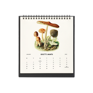 2025 Desk Calendar - Mushrooms