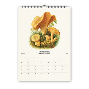 2025 Wall Calendar - Mushrooms