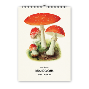 2025 Wall Calendar - Mushrooms