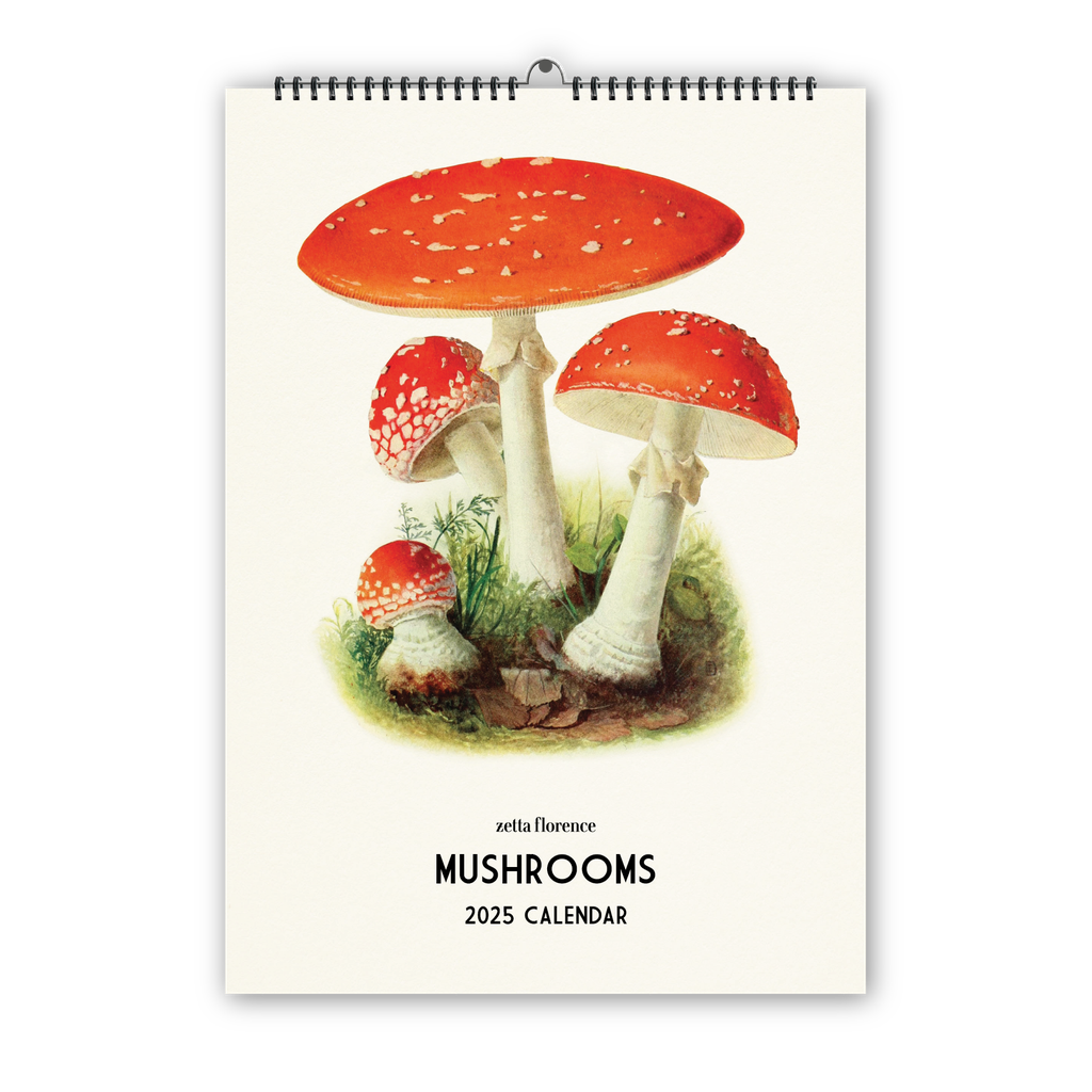 2025 Wall Calendar - Mushrooms