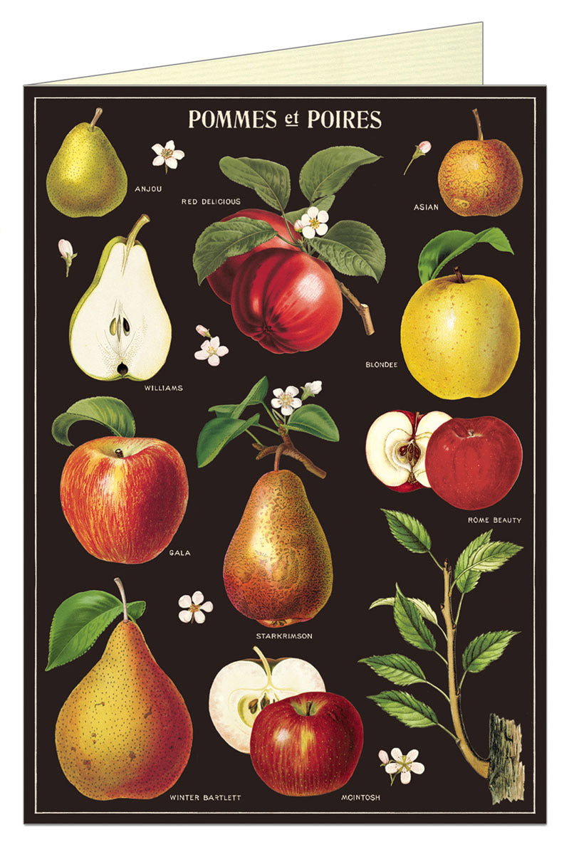 Vintage Apples & Pears Greeting Card