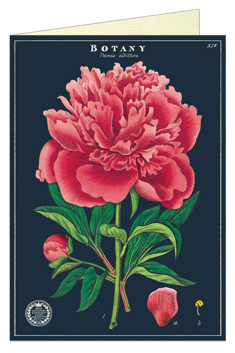 'Botany' Vintage Greeting Card
