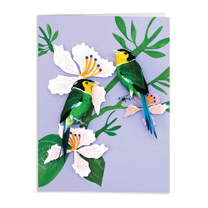 Notecard Set - Birds of the World