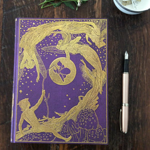 Lang's Fairy Books Journals